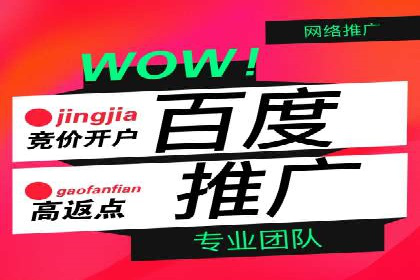 百度推广公司的成功案例：如何实现广告投资回报最大化